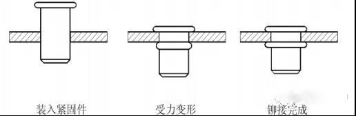 91视频在线看
